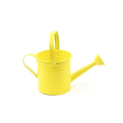 <h4>Promo Gieter D14.5*14.5cm</h4>