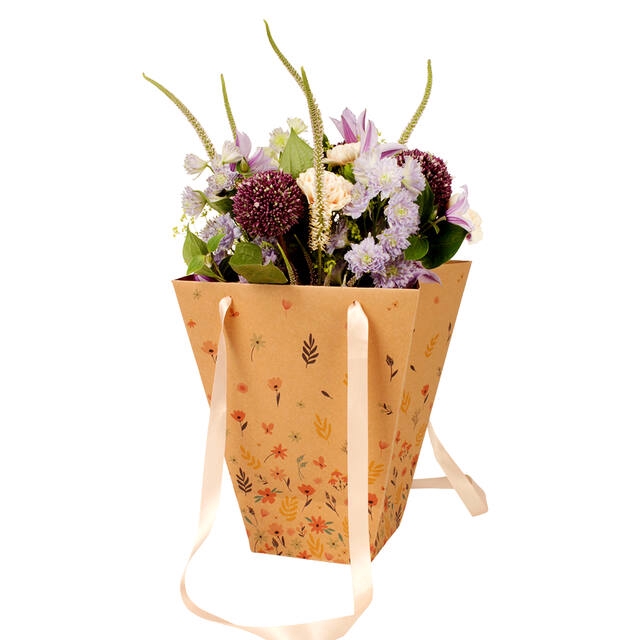 <h4>Bag Spring carton 24/24x13/13xH30cm</h4>