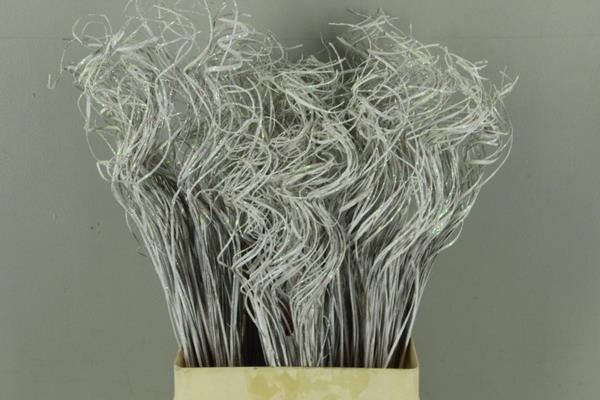 <h4>Stem Ting Ting White+glitter B</h4>