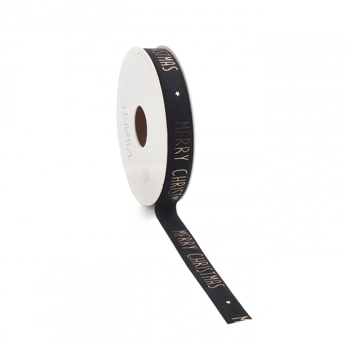 <h4>Christmas Ribbon Merry Christm.15mm 5m</h4>