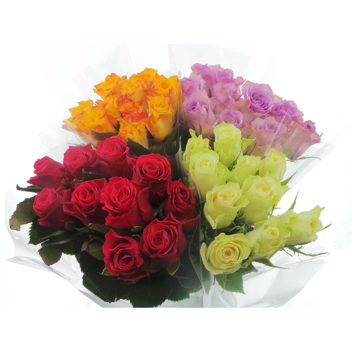 <h4>Bouquet Mono Rozen x10 mix 60cm</h4>