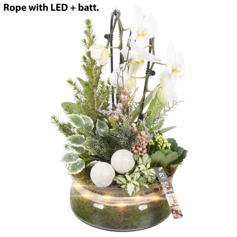 <h4>PTCHG5188 Arrangementen Kerst</h4>