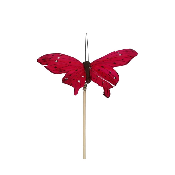 <h4>50cm Butterfly Tropicana 8cm</h4>