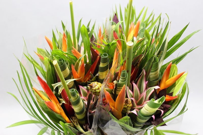 <h4>Heliconia bq dagron</h4>