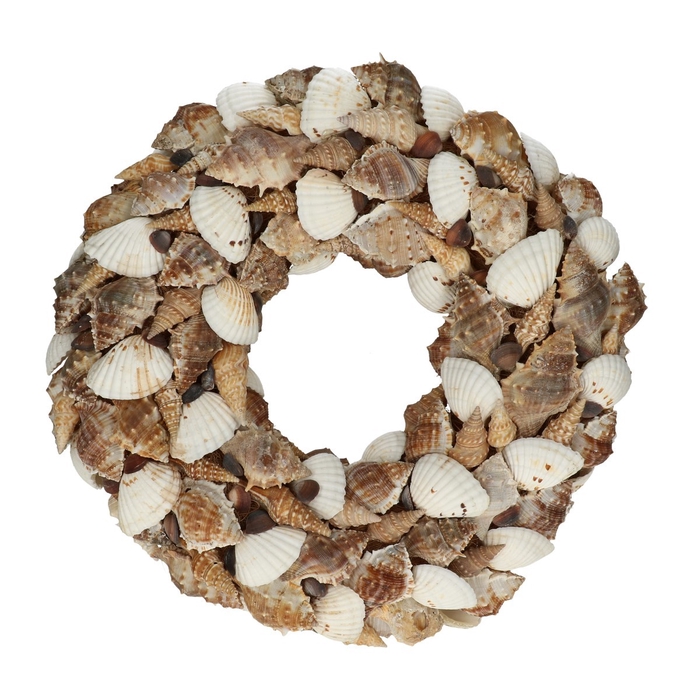 <h4>Wreath d30cm Mix shells</h4>