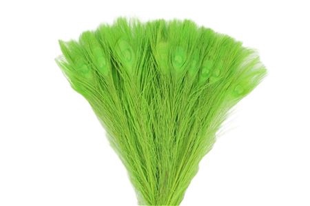 <h4>BASIC FEATHER PEACOCK L45-50</h4>