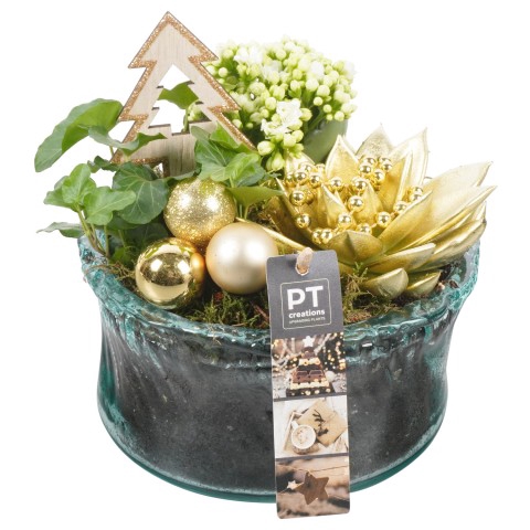 <h4>PTCHG5102 Arrangementen Kerst</h4>