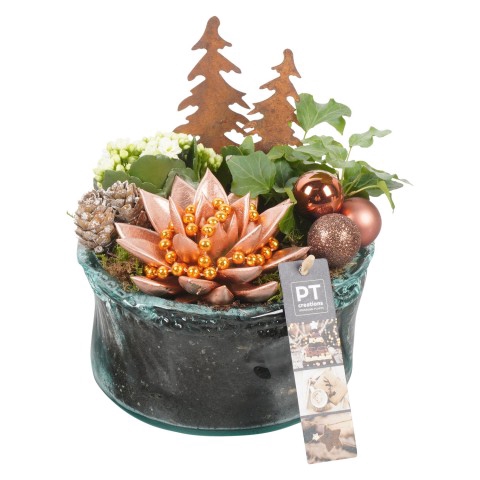 <h4>PTCHB6002 Arrangementen Kerst</h4>