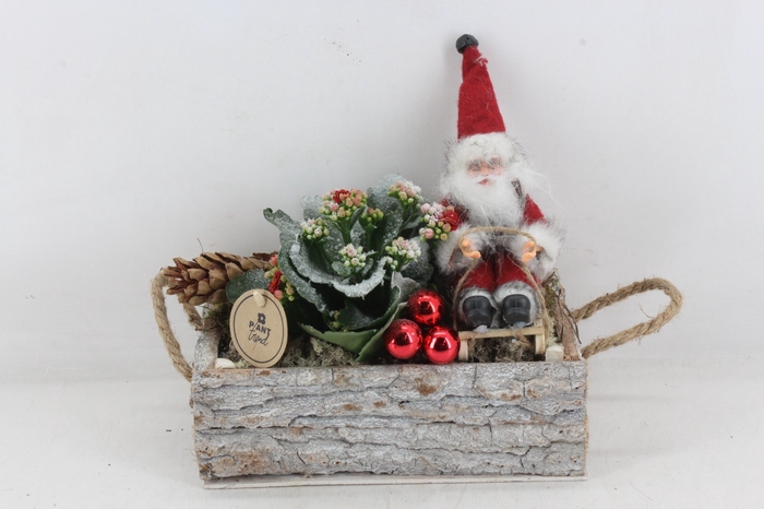 <h4>arr2 PL - Schors rechthoek kalan. kerstman</h4>