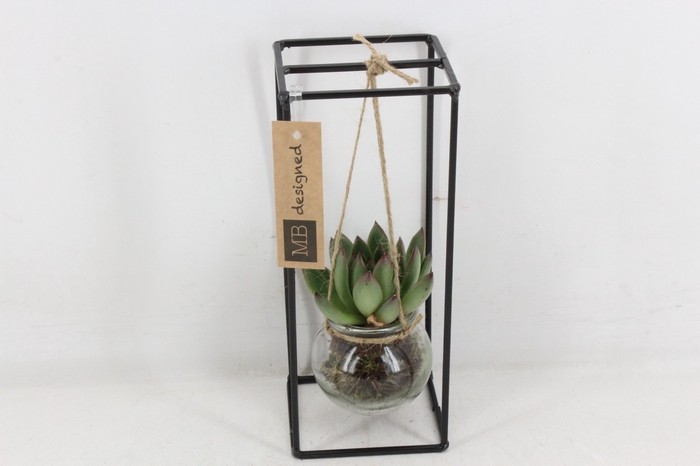 <h4>arr2 MB186 - Ijzer hang rek 1 glas</h4>