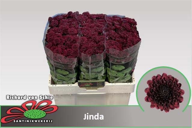<h4>CHR S JINDA</h4>