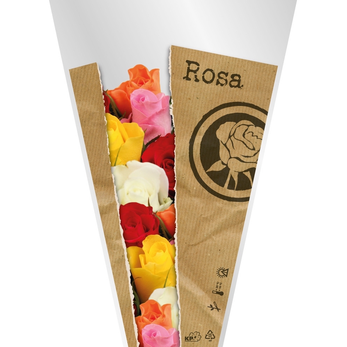 <h4>Sleeves Mono Rose 60*35*12cm x50</h4>