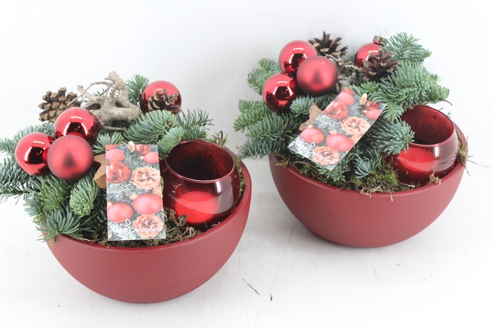 <h4>arr5 Kerst MB538 - Ker. bolpot rood x2 1bolwax</h4>