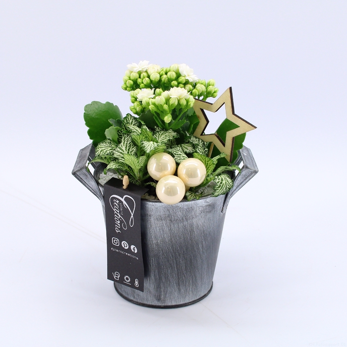 <h4>BAXM-2312W Xmas Fundamentals</h4>