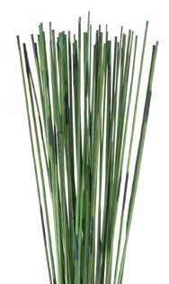 <h4>Mash reed l.green stabi</h4>