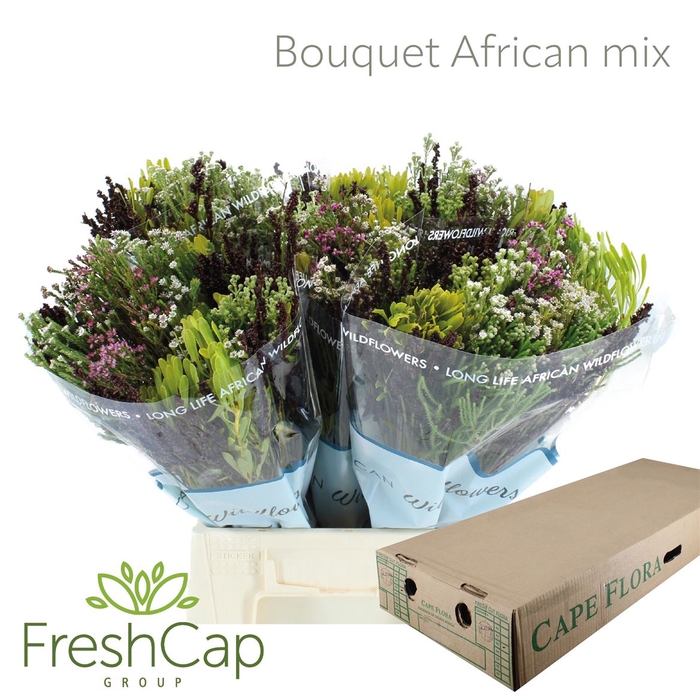 <h4>Bouquet African Mix</h4>