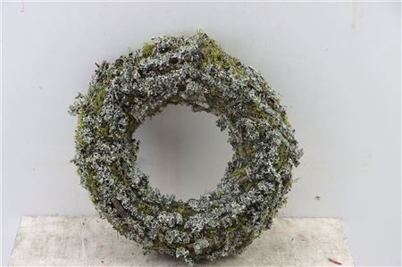 <h4>Wr Larix Moss 30cm Natural</h4>