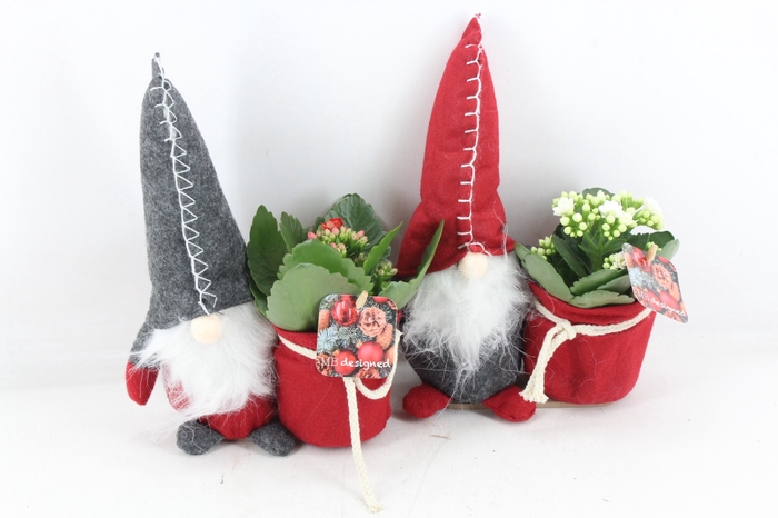 <h4>arr2 MB443 - Gnome/kalan. kl. mix 401/7</h4>