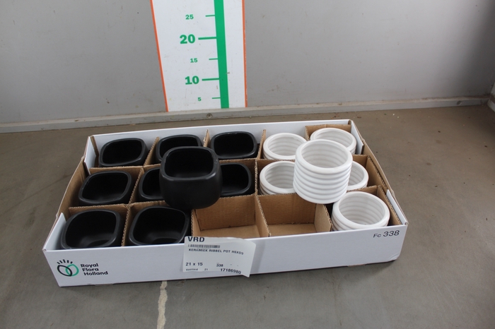 <h4>KERAMIEK RIBBEL POT H6XD9</h4>