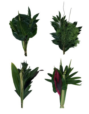<h4>Bouquet exotic foliage amazon bunch</h4>