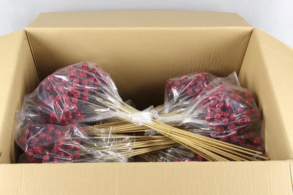 <h4>Stick Berries Rose Hips Snow</h4>