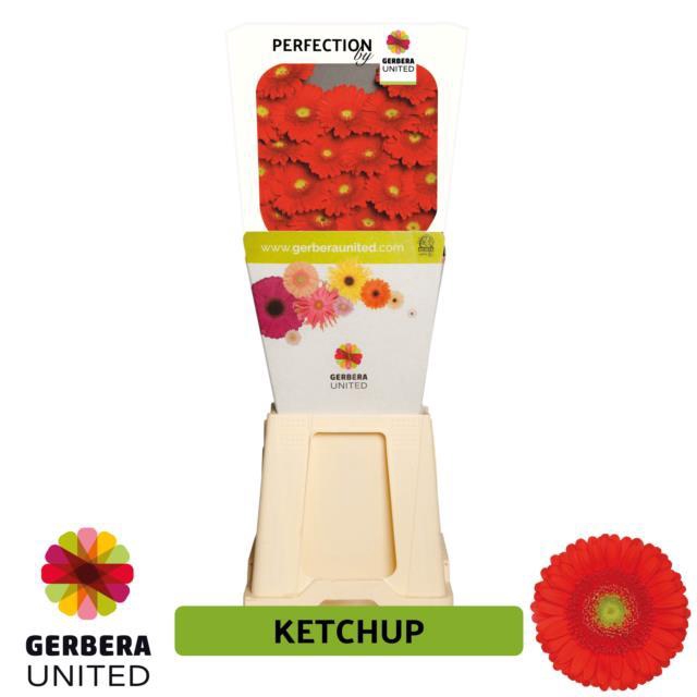<h4>Germini diamond ketchup</h4>
