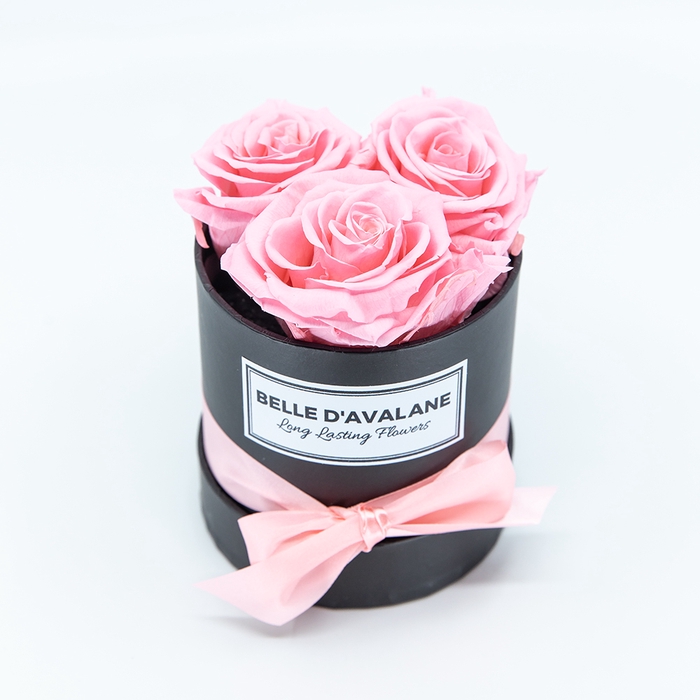 <h4>Box rd 10cm zwart-roze</h4>