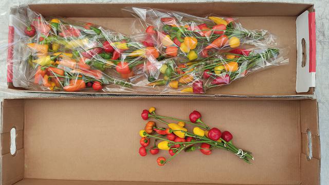 <h4>Ornamental peppers per stem</h4>