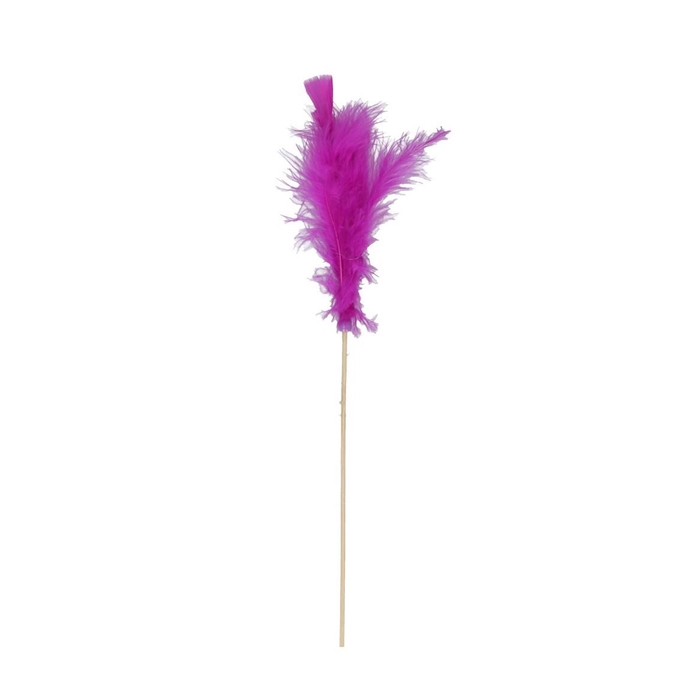<h4>50cm Feather</h4>