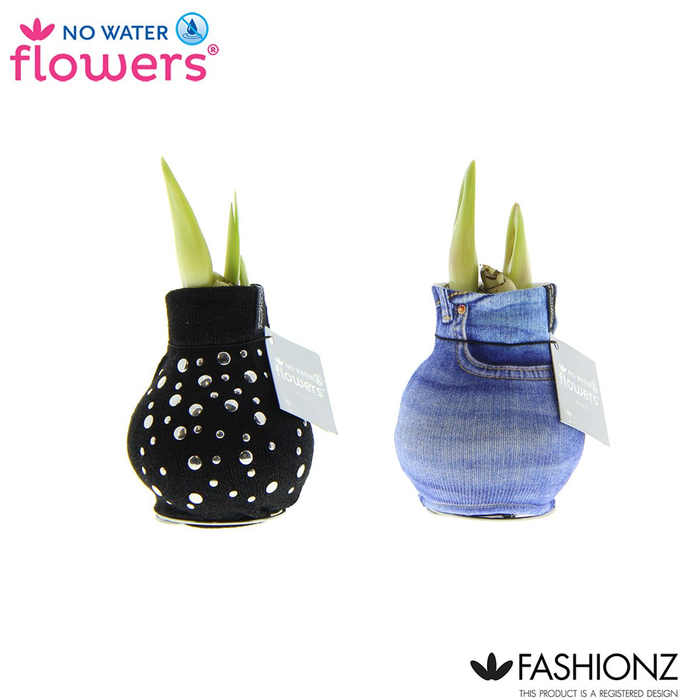 <h4>arr4 Amaryllis VH - Fashionz streetlife</h4>