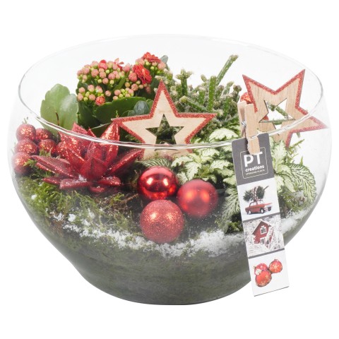 <h4>PTCHR4231 Arrangementen Kerst</h4>