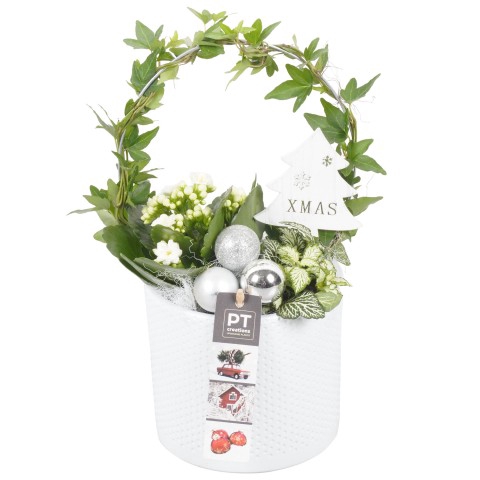 <h4>PTCHS7344 Arrangementen Kerst</h4>