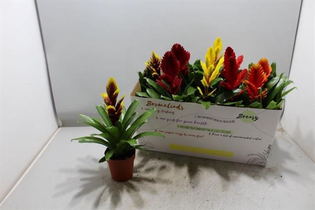 <h4>VRIES GEM 5 SRT</h4>