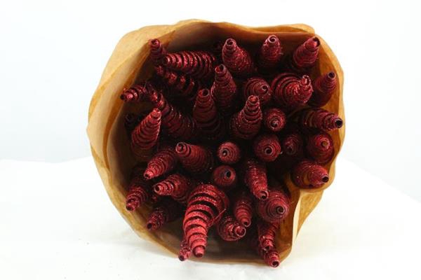 <h4>Droog Puntspiraal Rood+glt X40</h4>