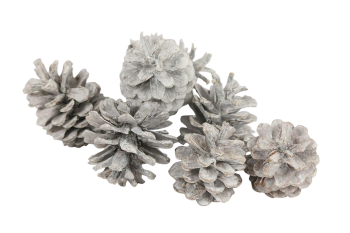 <h4>Pinecone Oostenrijker 10kg White Wash</h4>