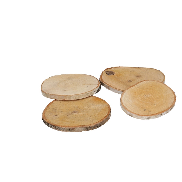 <h4>Dried articles Wood slice birch d09*10cm</h4>