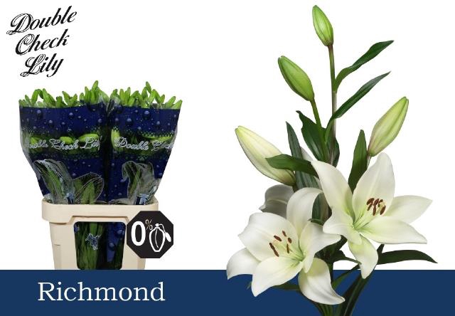 <h4>LI LA RICHMOND</h4>