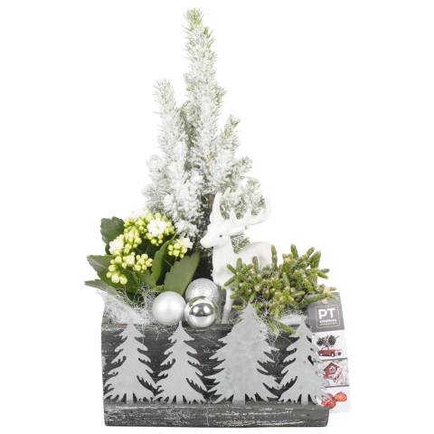 <h4>PTCHS7383 Arrangementen Kerst</h4>