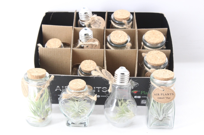 <h4>arr3 CP - Glas bottle small mix</h4>