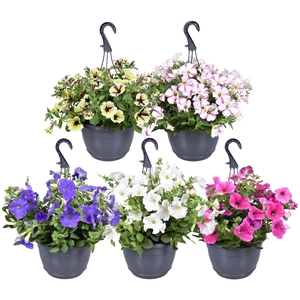 Hpot Pet Mixlaag Lichte kleur