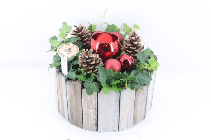 <h4>arr2 PL - Hout pot rond hedera wax rood</h4>