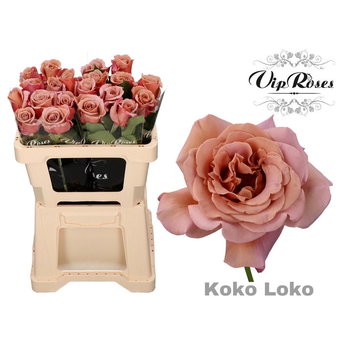 Vip Roses Webshop