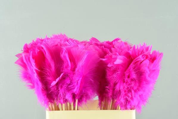 <h4>Stick Feather Pink 14cm</h4>