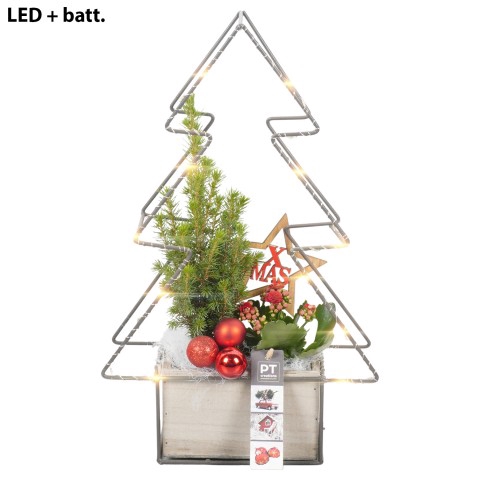 <h4>PTCHR4280 Arrangementen Kerst</h4>