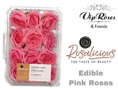 <h4>Edible rosa rosalicious pink</h4>