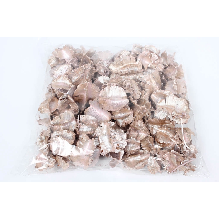 <h4>Arjun large 250gr in poly Pearl Pink</h4>