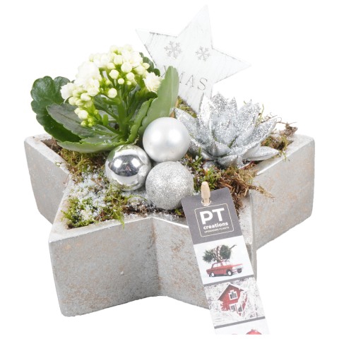 <h4>PTCHS7360 Arrangementen Kerst</h4>