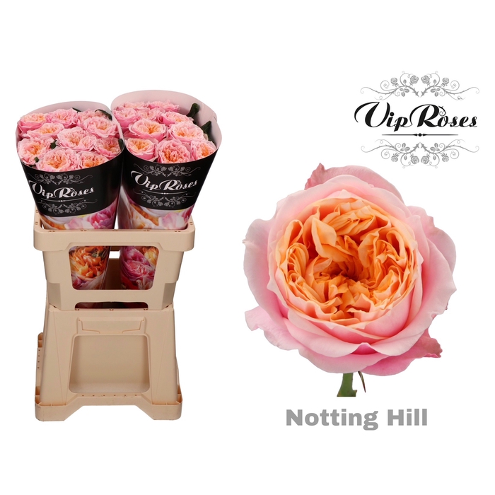Vip Roses Webshop