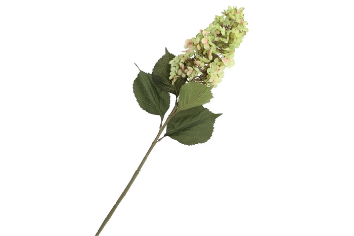 <h4>Silk Hortensia Plume Green 99cm</h4>