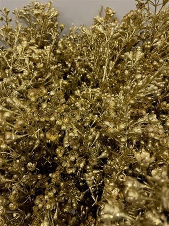 <h4>Waxflower Gold + Glit</h4>